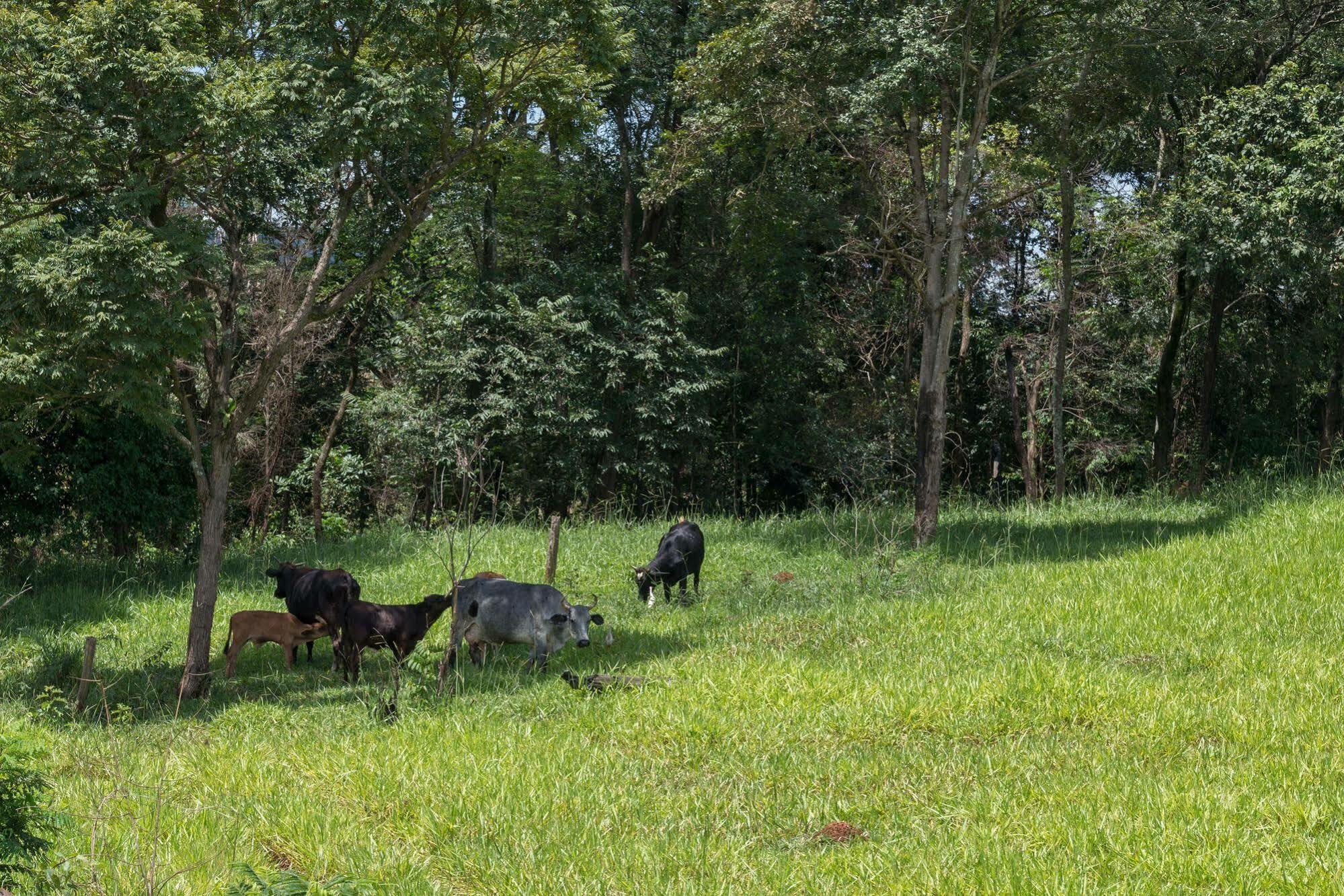 Estancia Das Angolas - Inhotim Brumadinho Exterior foto